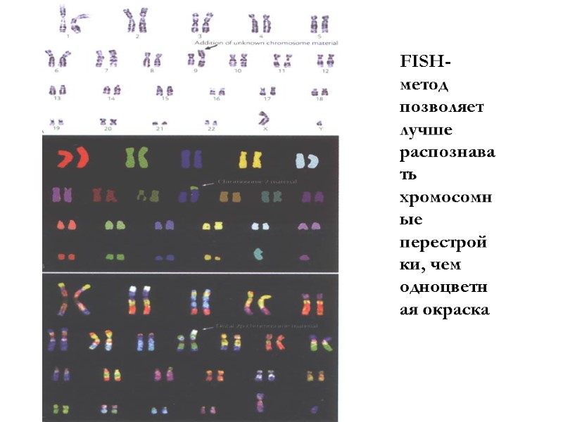 FISH-метод  позволяет лучше распознавать хромосомные перестройки, чем одноцветная окраска